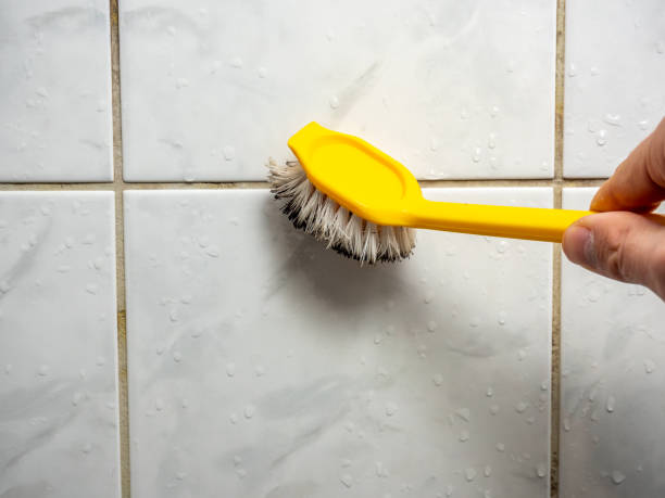 Best Attic Mold Removal  in Canal Winchester, OH