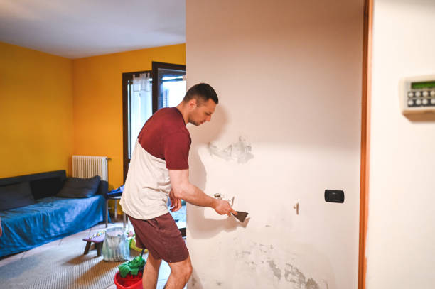 Best Office Mold Removal Services  in Canal Winchester, OH